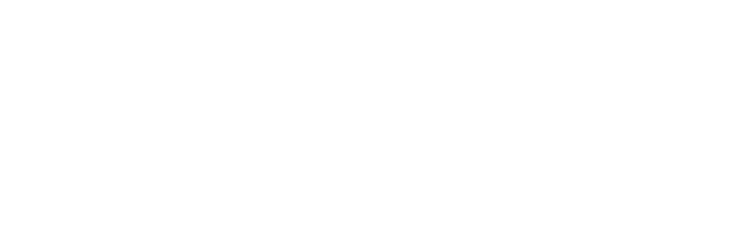 TheDip Logo